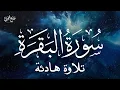 Lagu Surat Al-Baqarah Wadee Al Yemeni | سورة البقرة كاملة بصوت القارئ وديع اليمني