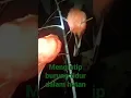 Download Lagu PETUALANGAN MALAM HARI DI HUTAN KALIMANTAN