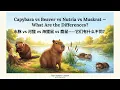 Biggest Rodent vs Best Builder Capybara Beaver Nutria Muskrat