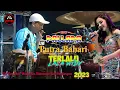 Terlalu - Lala Widy - New Pallapa Live Putra Bahari Wonokerto Wetan - Cover Kendang Cak Met