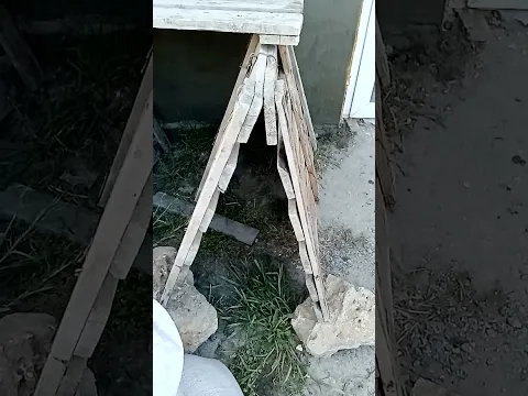 Козлы даром