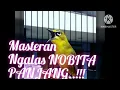 Download Lagu masteran pleci Nobita..!!@radja burung