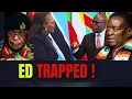 WATCH Sophie Mokoena CONFRONTS Minister Murwira at SADC Summit on Zimbabwe Immigration Failure