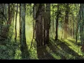 "Farewell" by Alan Menken