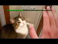 pretending to pet him until he crashes out