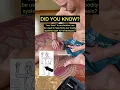 I ve had some wild experiences in Thai Bodywork