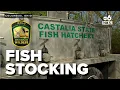 Fish are coming Fish stocking at Ohio lake