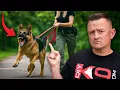 3 Mistakes That Reinforce Your Dog s Reactivity Aggression