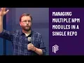 Managing Multiple NPM Modules in a Single Repo - London Node User Group