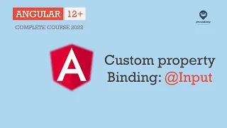 Custom Property Binding Input Decorator Data Binding Angular 12