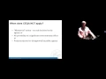 CEQA Basics