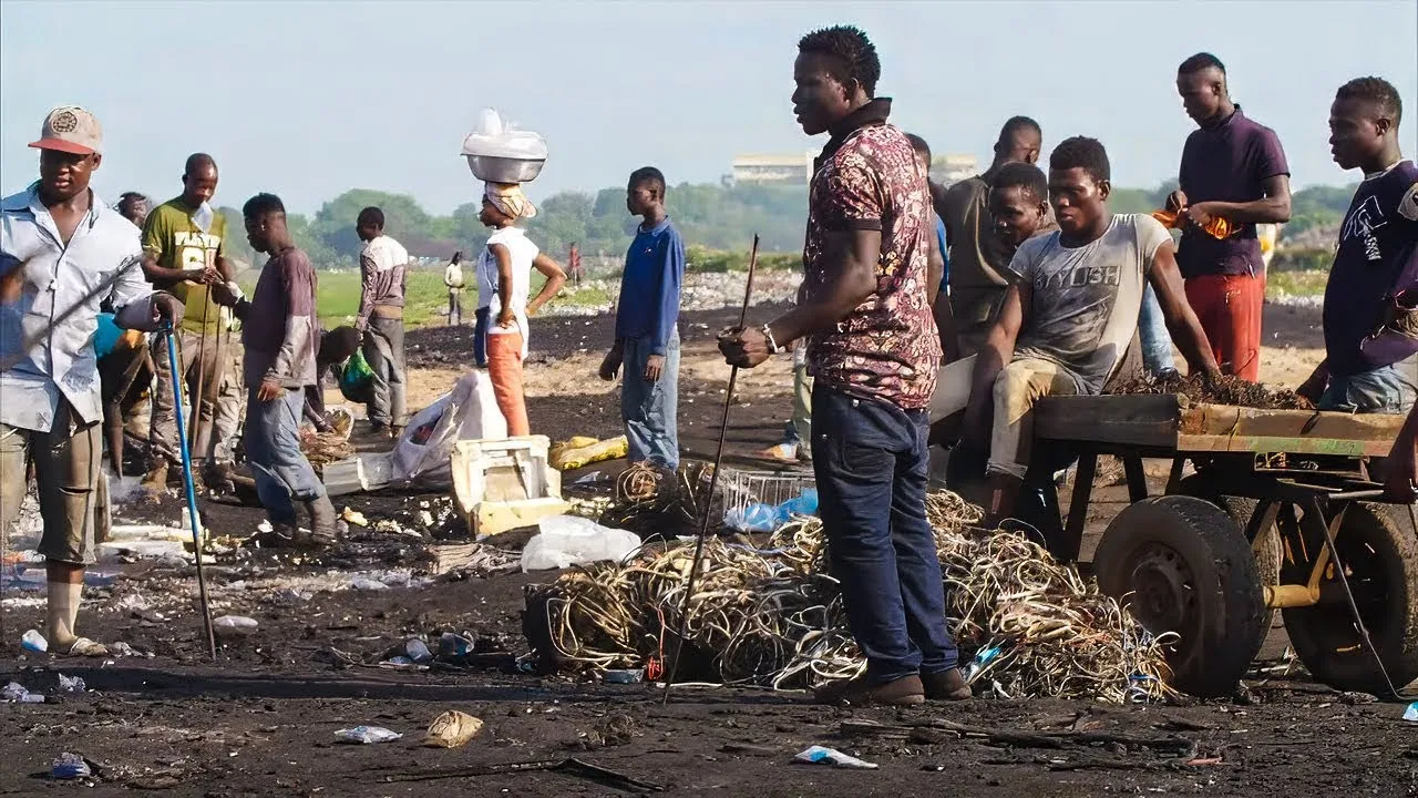 A Week in a Toxic Waste Dump