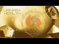 ideal bladder urinary health subliminal listen once
