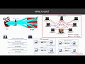 Kali Linux Advanced Wireless Penetration Testing What Is DoS packtpub com