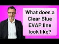 What does a Clear Blue EVAP line look like