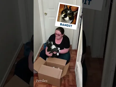 They Can't Believe These Plushies Look Just Like Their Pets!