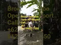 Download Lagu BAMBOO BROOM QUALITY +62 813 9682 7550 #sapulidi #sapu