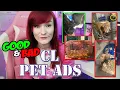 Poor Hamster Care Craigslist Pet Ads Munchie s Place