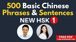 Basic Chinese Words In Phrases Sentences For Beginners New HSK 1 Vocabulary 500 Words Examples 