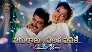 chiguraku chilaka remix balakrishna meena ravali muddula mogudu movie telugu song