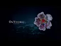 Titanium Corn Poppy Brooch