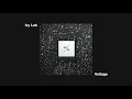 Ivy Lab - Voltage