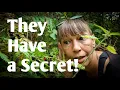 We Know The REAL Reason Everything Fruited EARLY - UK Nomads