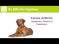 Canine Arthritis Symptoms Causes Treatments Dr Bill s Pet Nutrition The Vet Is In