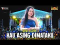 Download Lagu DINI ALVIA - KAU ASING DIMATAKU I GAROSTA (NGLEMOR COMUNITY) #pallapa #viralvideo #beranda