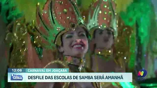 Desfiles e festas marcam o Carnaval em cidades do Oeste de SC