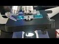 AmScope Basic How to Use Guide The Hunt for the Tardigrade