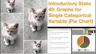 Introductory Stata 40 Graphs For Single Categorical Variable Pie Chart