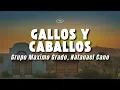 Grupo Maximo Grado, Natanael Cano - Gallos Y Caballos (Letra/Lyrics)