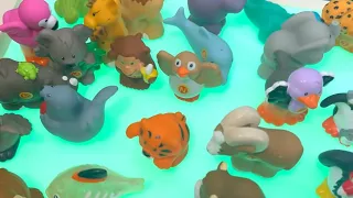 Learn ABC with Animal Zoo Fun Toy - ABC Alphabet Puzzle Learning for Toddlers & Preschool Kids A-Z