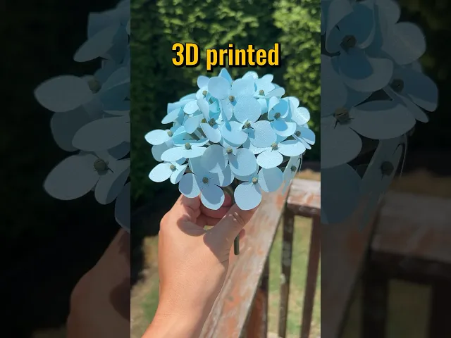 Blue Hydrangea! video thumbnail