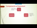Selenium C Tutorial - What is selenium Webdriver Rc IDE GRID