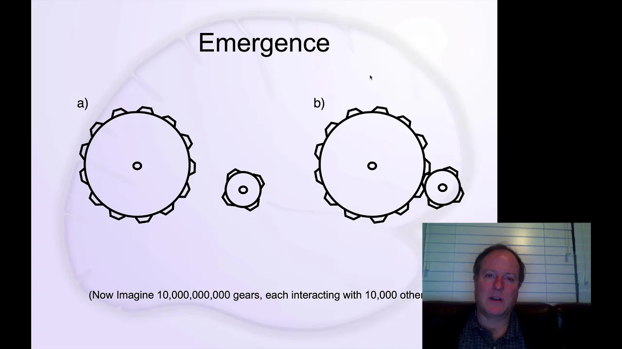 CCN Course 2020, Intro 1: Emergence