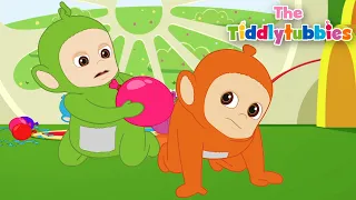 Fun Obstacle Race To The Finish! | Tiddlytubbies - WildBrain | Full Episodes for Kids