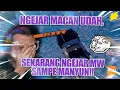 Download Lagu Kalo kemaren ngejar macan, sekarang ngejar MW sampe manyun!!😗