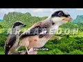 Download Lagu MASTERAN KEKINIAN /ARMAGEDON/ jeda 15 detik