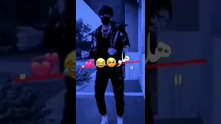 اي دندن كوكو   دندنها