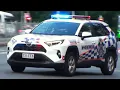 Queensland Police Toyota RAV 4 Responding Code 1 Brisbane 24