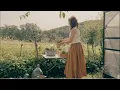 Download Lagu Daily life in our home in the French countryside