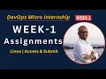 Week 1 - Assignment Submission Guide How to Access Submit DevOps Micro Internship