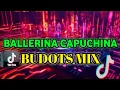 Download Lagu BALLERINA CAPUCHINA | VIRAL TREND TIKTOK BUDOTS | DJELINO REMIX
