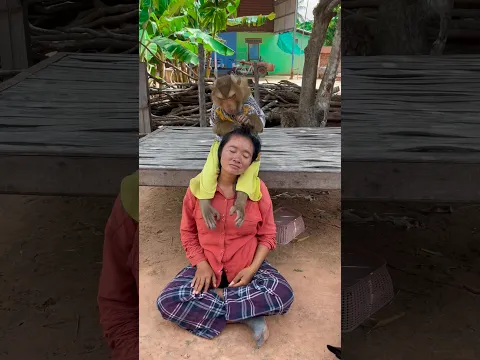 Great video Super SokYaa Very Adorable & Harmony Animals Around The World #shorts