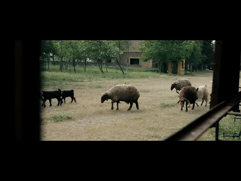 Beirut Terminus (Trailer)
