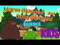 Warm Blooded and Cold Blooded Animals - Science for Kids