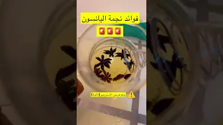 فوائد نجمة اليانسون Explore اكسبلور ترند 