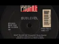 Download Lagu Sublevel - Don't Blame Me (Basement Boys Remix)